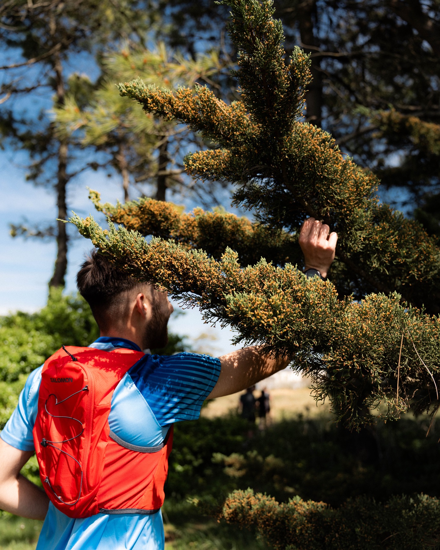 Coureur dans la Ria d'Étel